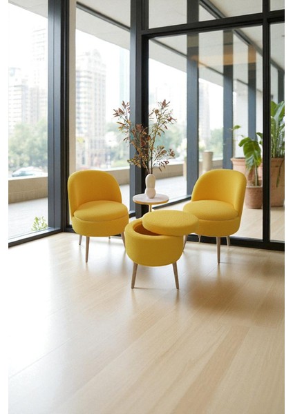 Lorıane Teddy Peluş Berjer ve Puf 3’lü Takım – Salon, Balkon ve Ofis Için Konforlu Çay Seti modelleri