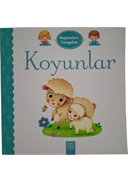 Hayvanları Tanıyalım - Koyunlar