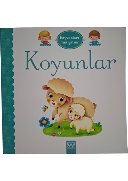 Hayvanları Tanıyalım - Koyunlar fiyatları