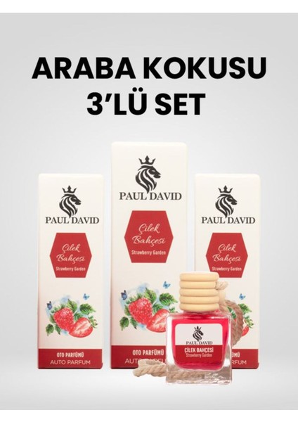 Dekoratif Araç Oto Kokusu 3 Lü Set Çilek Bahçesi