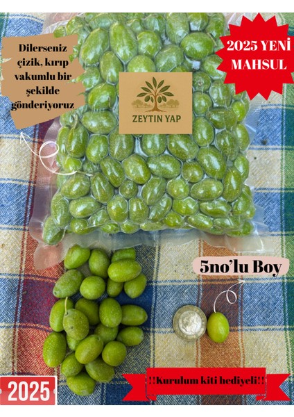5. Boy Ham Yeşil Zeytin – 1 KG(2025 Yeni Mahsul) fiyatları