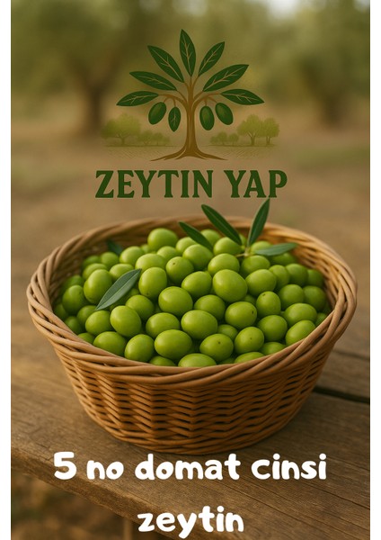 5. Boy Ham Yeşil Zeytin – 1 KG(2025 Yeni Mahsul) fırsatları