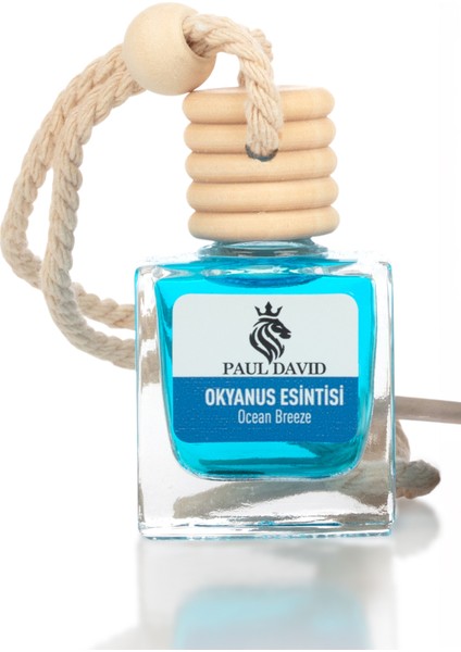 Dekoratif Araç Oto Kokusu Okyanus Esintisi 10ML modelleri