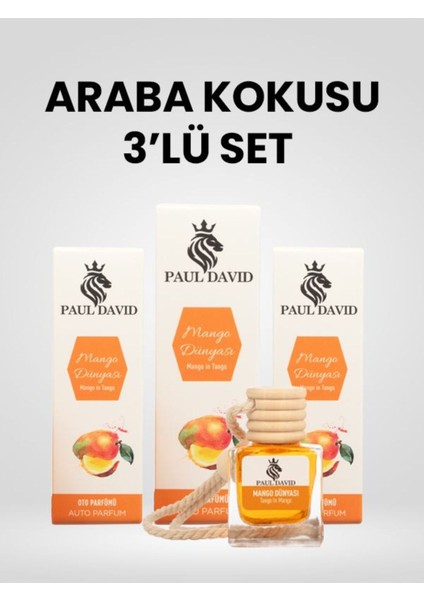 Dekoratif Araç Oto Kokusu 3 Lü Set Mango Dünyası