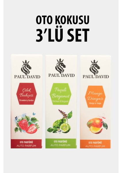 Dekoratif Araç Oto Kokusu 3 Lü Set ( Mango-Çilek-Paçuli)