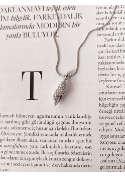 Kadın Çelik Deniz Kabuğu Model Kolye fiyatları