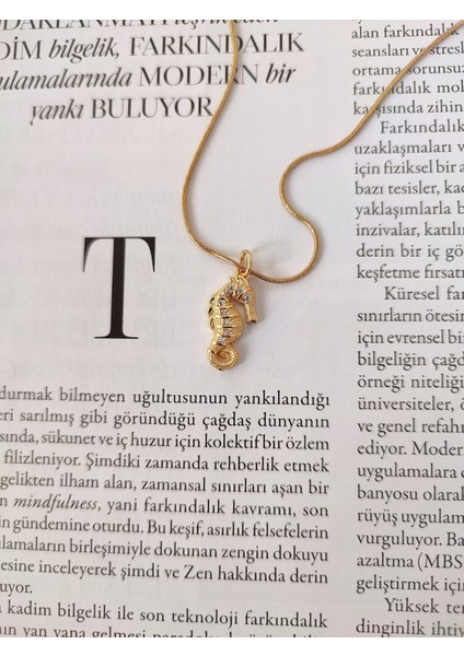 Kadın Çelik Deniz Atı Model Kolye fiyatları