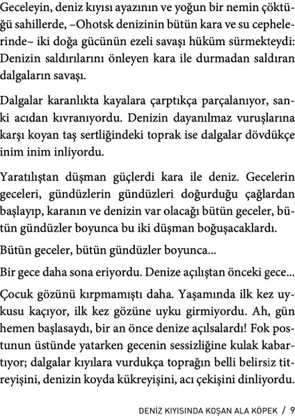 Deniz Kıyısında Koşan Ala Köpek - Cengiz Aytmatov modelleri