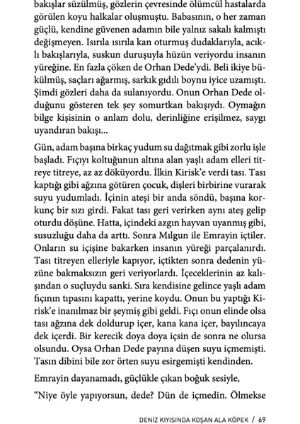 Deniz Kıyısında Koşan Ala Köpek - Cengiz Aytmatov indirimleri