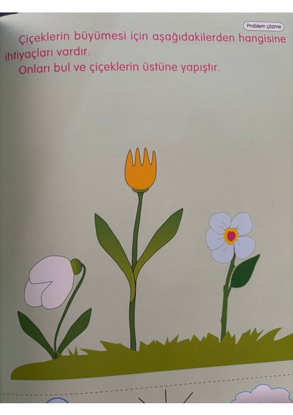 Doğayla Öğreniyorum 3 fiyatları