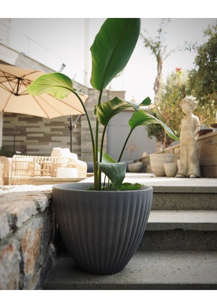 Lotus Plastik Saksı Antrasit Çap 39CM Yükseklik 35CM fiyatları