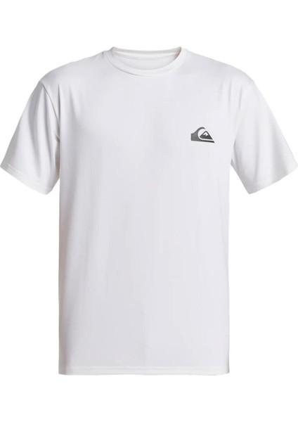 Everyday Surf Tee Ss Erkek Rashguard fiyatları