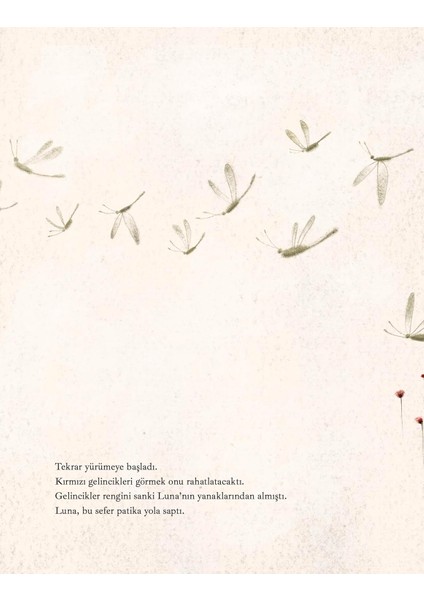 Rengarenk Bir Bahçe - Betül Duran