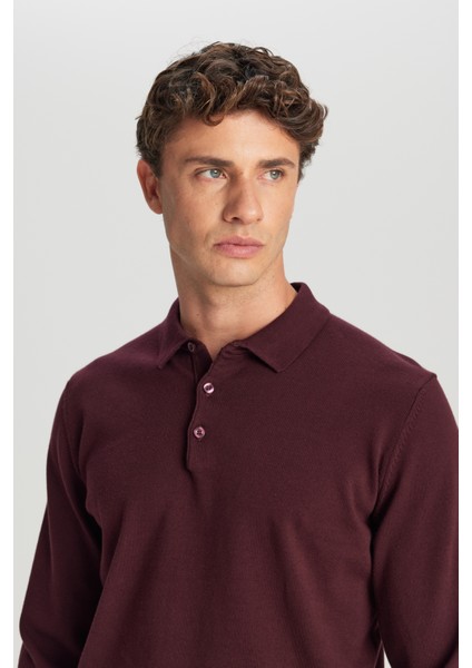 Pamuklu Standart Fit Normal Kesim Polo Yaka Triko Kazak fırsatları