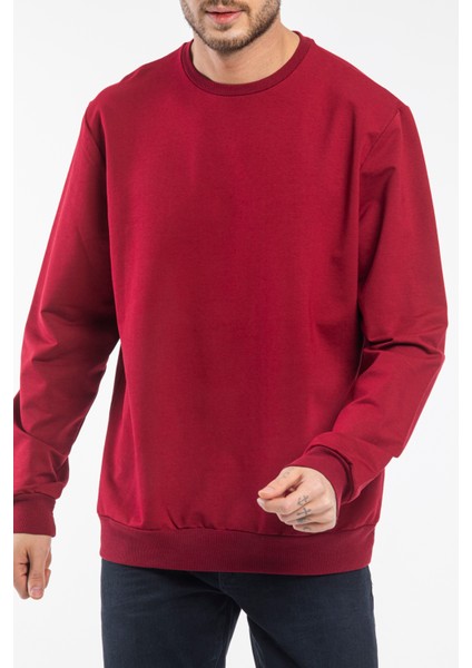 Süperlife Erkek Bisiklet Yaka Regular Fit Ince Sweatshirt Spr 20K30 modelleri