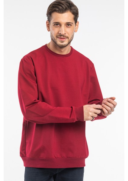 Süperlife Erkek Bisiklet Yaka Regular Fit Ince Sweatshirt Spr 20K30 indirimleri