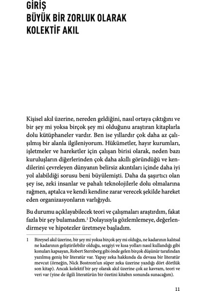 Büyük Akıl - Geoff Mulgan