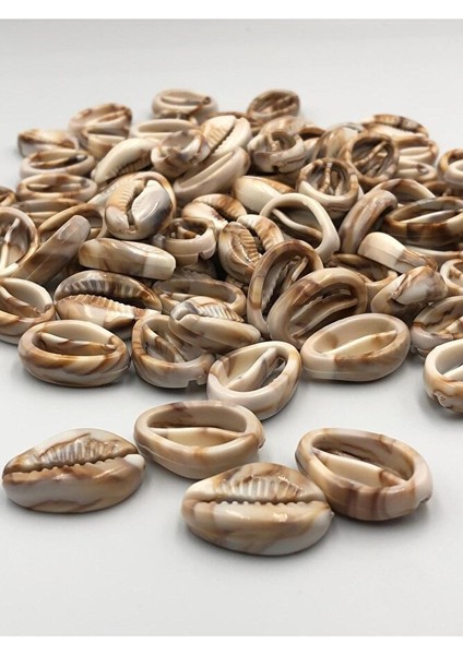 50 Adet Akrelik Deniz Kabuğu 2 cm fiyatları