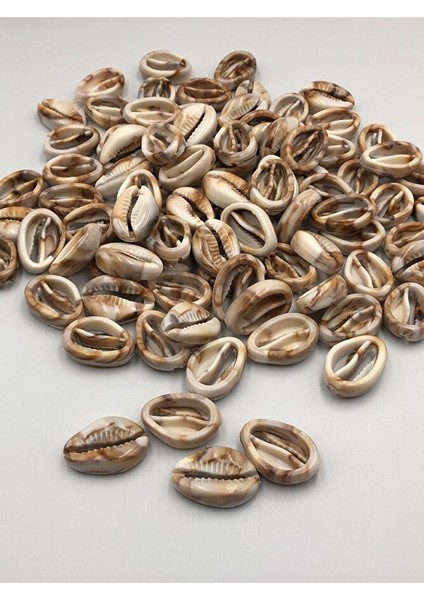 50 Adet Akrelik Deniz Kabuğu 2 cm modelleri