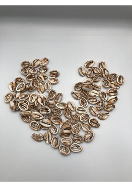 50 Adet Akrelik Deniz Kabuğu 2 cm fırsatları