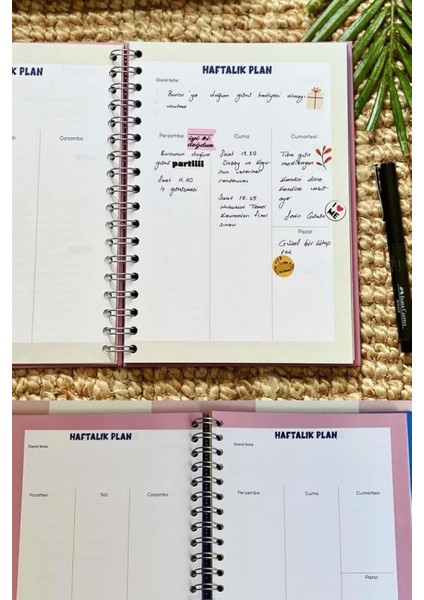 Sakura Tasarımlı Konuşan Ajanda fırsatları