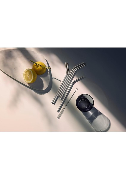 Baric 6'lı Cromargan Pipet 24 cm fiyatları