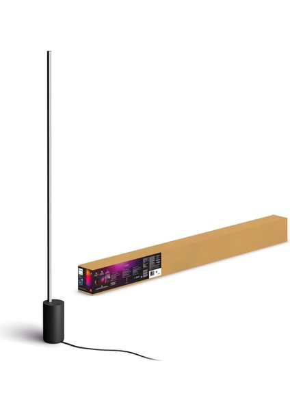 Gradient Signe Akıllı LED Zemin Işığı, Lambader, Siyah