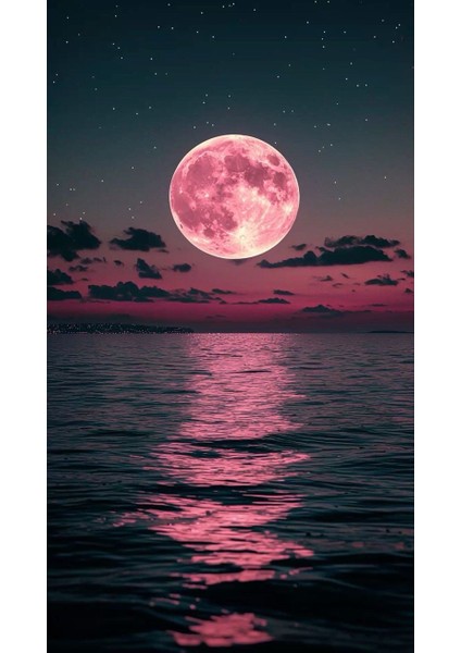 Pembe Dolunay V1 Ev Duvar Salon Güzellik Salonu Ofis Dükkan Dekarasyon Kanvas Tablo fiyatları