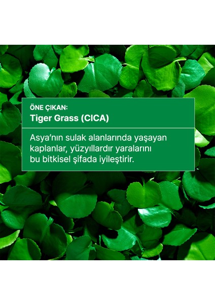 Dr. Jart Cicapair™ Tiger Grass - Kaplan Otu Içeren Sıvı Düzeltici SPF35 30ML/1FLOZ