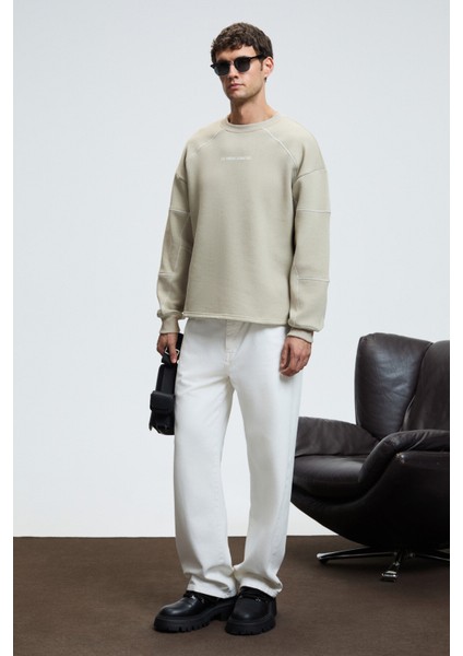 HAL Erkek Yuvarlak Yaka Önünde Ve Kollarında Süs Dikiş Detaylı Baskılı Regular Fit Taş Rengi Sweatsh fiyatları