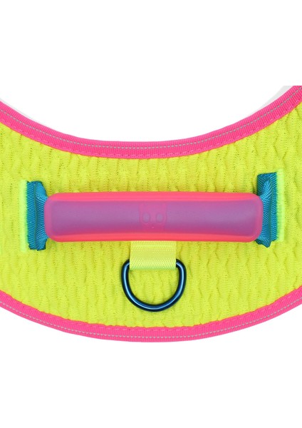 Cmyk Flyharness Göğüs Tasması - Zee.dog fırsatları