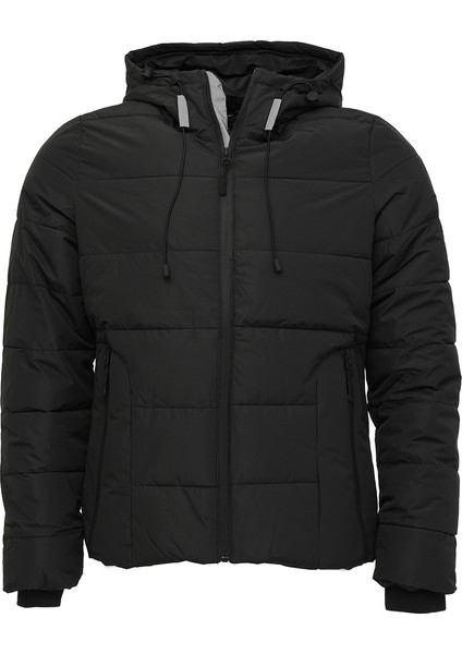 Wl 1jenny 5pr Siyah Kadın Mont