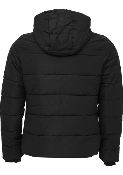 Wl 1jenny 5pr Siyah Kadın Mont fiyatları