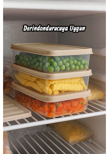 3'lü 1l Derin Dondurucu Saklama Kabı Set Buzluk Mikrodalga Gıda Krem Plastik Kap modelleri