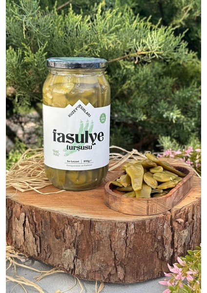Fasulye Turşusu (1kg) fiyatları