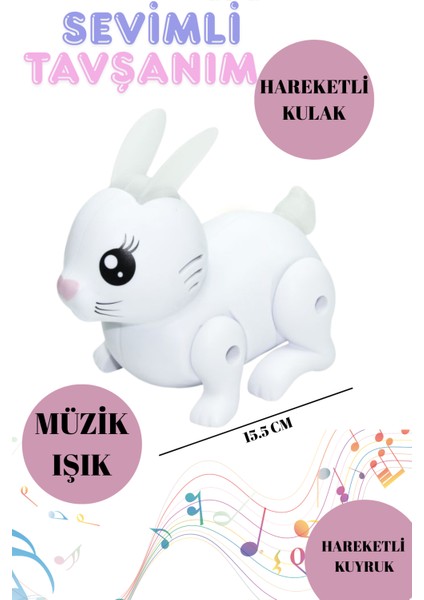 Sevimli Tavşan Müzikli Sesli Işıklı Hareketli Kuyruk ve Kulaklı fiyatları