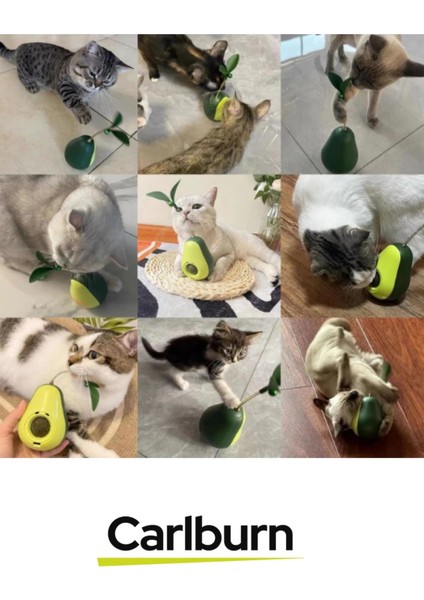 Özel Üretim Döner Mekanizmalı Avokado Şeklinde Kedi Naneli Mama Hazneli Kedi Oyuncağı fırsatları
