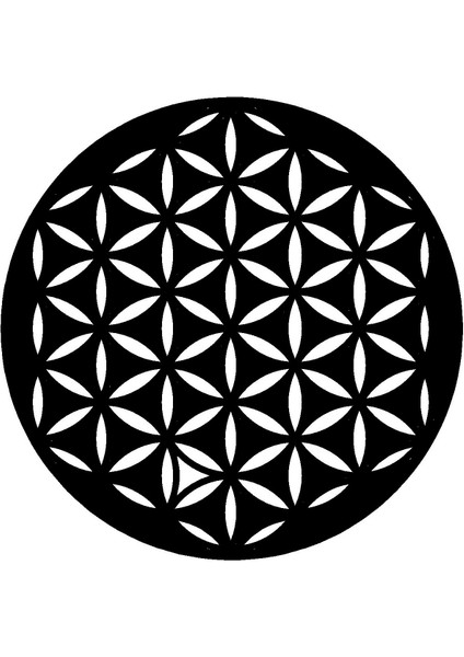 Çiçek Deseni Duvar Dekor Sticker (Tip 12) 40 x 40 cm