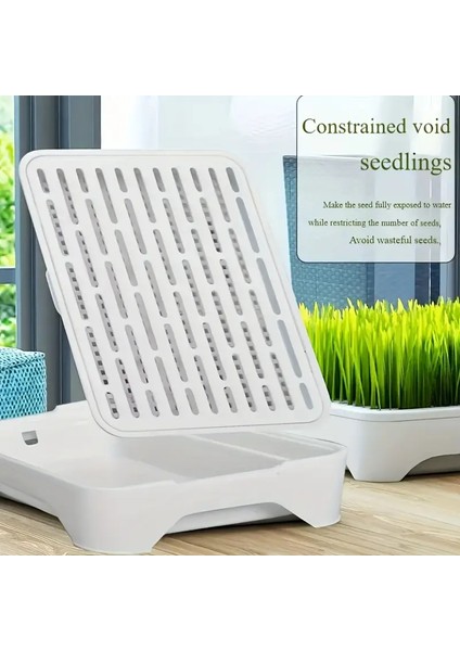 -Topraksız Suda Kedi Çimi Yetiştirme Kiti Versiyon 2 fiyatları