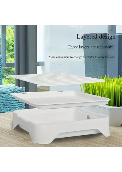 -Topraksız Suda Kedi Çimi Yetiştirme Kiti Versiyon 2 modelleri