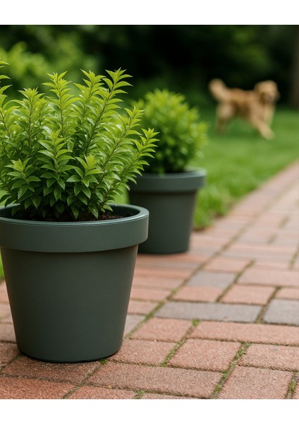 Namook Yuvarlak Plastik Saksı Yeşil Çap 30 cm Yükseklik 26 cm