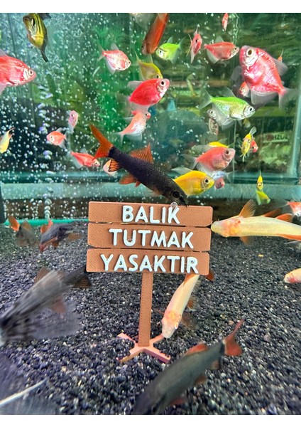 Balık Tutmak Yasaktır Akvaryum Dekor – 6x5 Cm, Mini Tabela Modeli