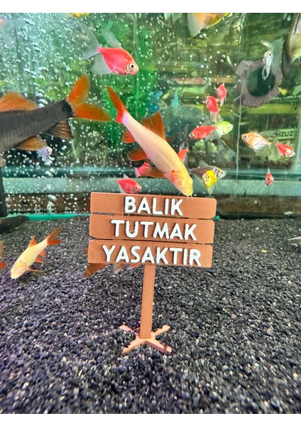 Balık Tutmak Yasaktır Akvaryum Dekor – 6x5 Cm, Mini Tabela Modeli fırsatları