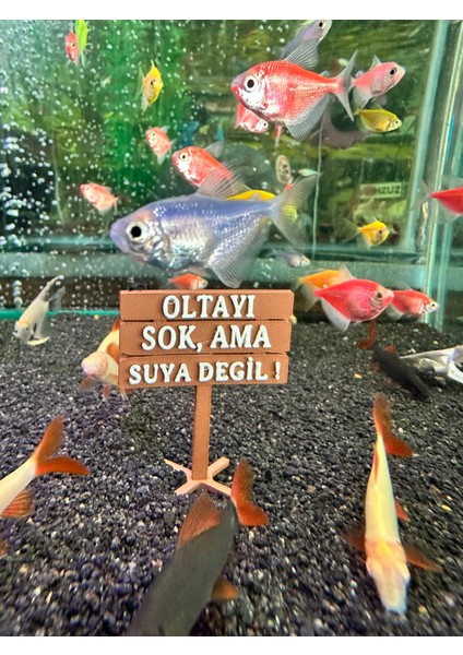 Oltayı Sok Ama Suya Değil! Akvaryum Dekor – 6x5 Cm, Mini Tabela Modeli modelleri