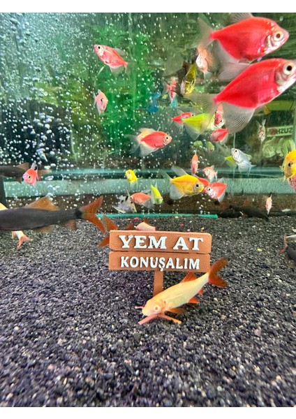 Yem At Konuşalım Akvaryum Dekor – 5x4.5 Cm, Mini Tabela Modeli