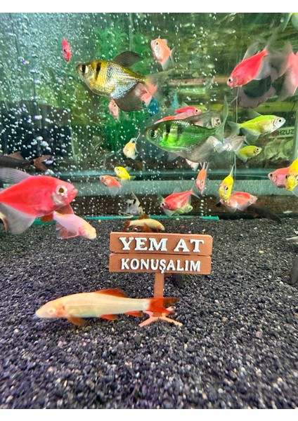 Yem At Konuşalım Akvaryum Dekor – 5x4.5 Cm, Mini Tabela Modeli modelleri