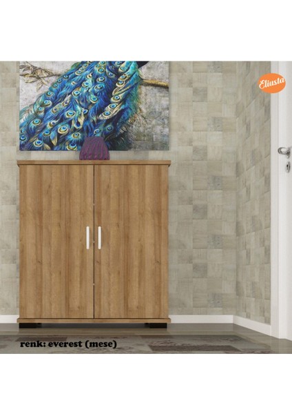 Ayakkabılık 2 kapaklı Ayakkabı Dolabı Raflı