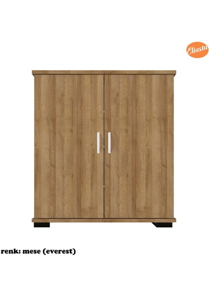 Ayakkabılık 2 Kapaklı Ayakkabı Dolabı Çok Amaçlı Dolap Mutfak Dolabı Ofis Dolabı fırsatları