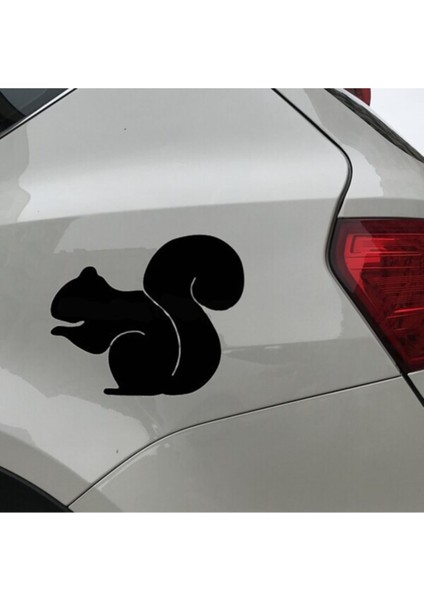 Sincap Tasarım Su Geçirmez Çıkarılabilir Oto Özel Yeni Sticker 10*9 cm