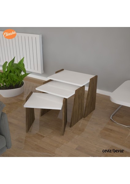 3 Lu Zigon Sehpa Takımı Sunum Sehpa fiyatları